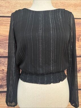 Japna Black Sheer Blouse with Metallic Pinstripes
